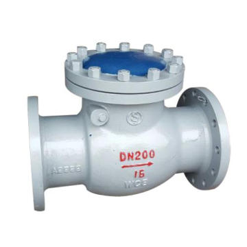 cast Iron vertical swing flange type nozzle check valve High Pressure Durable High Temperature Valves Stainless Steel